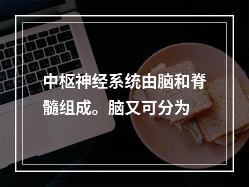 中枢神经系统由脑和脊髓组成。脑又可分为