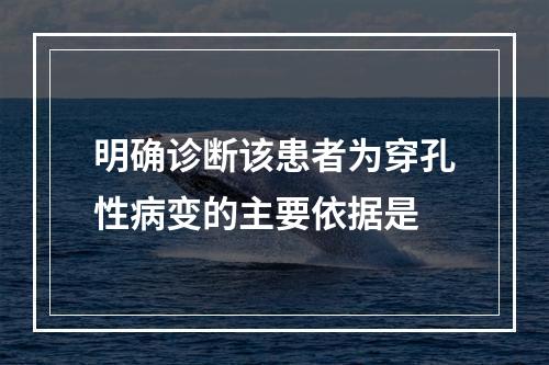 明确诊断该患者为穿孔性病变的主要依据是