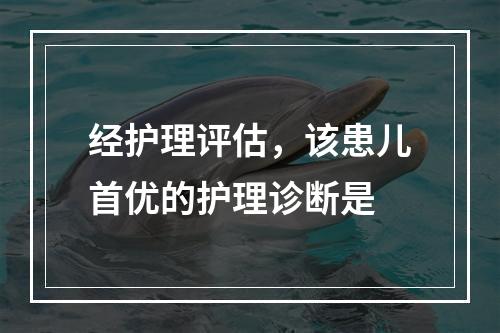 经护理评估，该患儿首优的护理诊断是