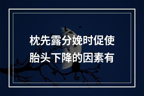 枕先露分娩时促使胎头下降的因素有