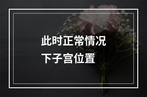 此时正常情况下子宫位置