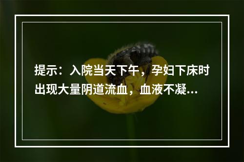 提示：入院当天下午，孕妇下床时出现大量阴道流血，血液不凝固，