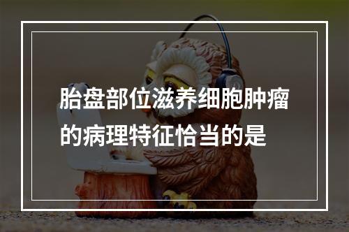 胎盘部位滋养细胞肿瘤的病理特征恰当的是