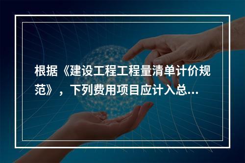 根据《建设工程工程量清单计价规范》，下列费用项目应计入总承包