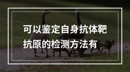 可以鉴定自身抗体靶抗原的检测方法有