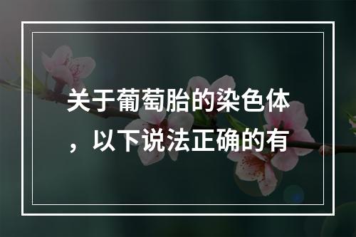 关于葡萄胎的染色体，以下说法正确的有