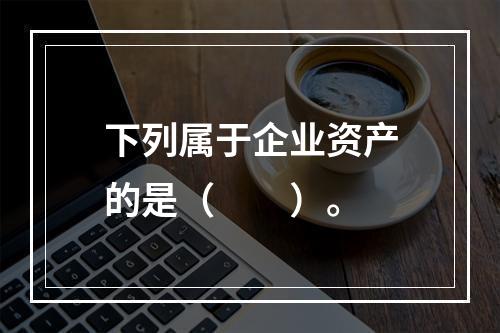 下列属于企业资产的是（　　）。