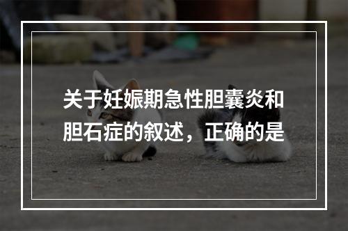 关于妊娠期急性胆囊炎和胆石症的叙述，正确的是