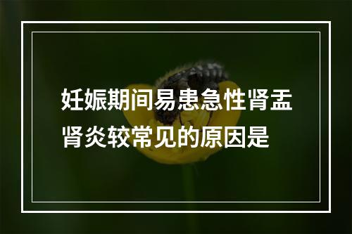 妊娠期间易患急性肾盂肾炎较常见的原因是