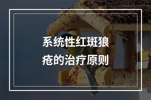 系统性红斑狼疮的治疗原则