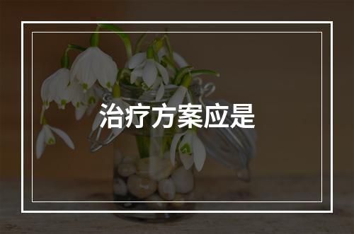 治疗方案应是