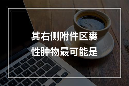 其右侧附件区囊性肿物最可能是