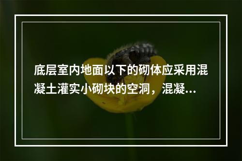 底层室内地面以下的砌体应采用混凝土灌实小砌块的空洞，混凝土强