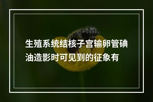 生殖系统结核子宫输卵管碘油造影时可见到的征象有