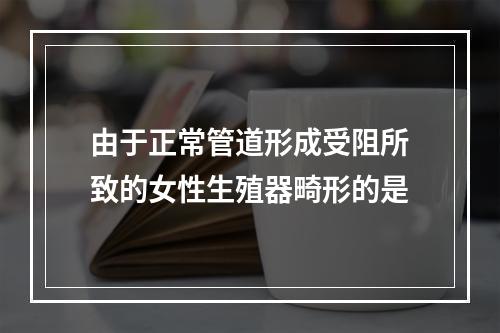 由于正常管道形成受阻所致的女性生殖器畸形的是