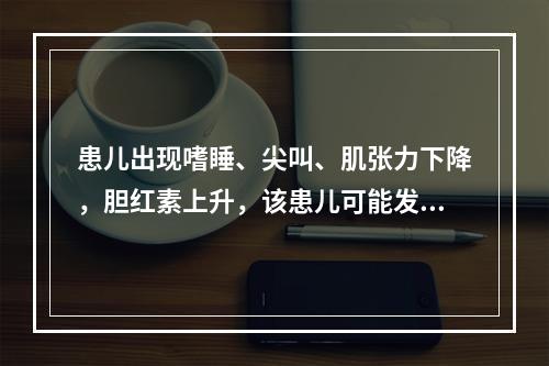 患儿出现嗜睡、尖叫、肌张力下降，胆红素上升，该患儿可能发生了