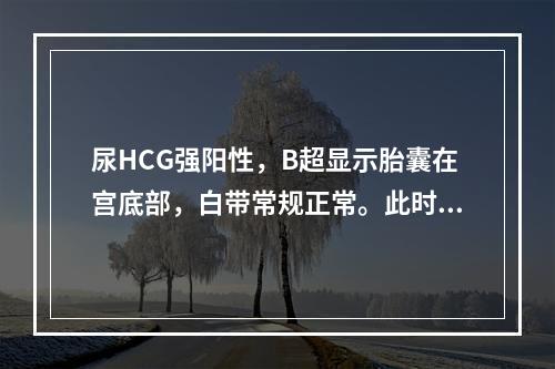 尿HCG强阳性，B超显示胎囊在宫底部，白带常规正常。此时诊断