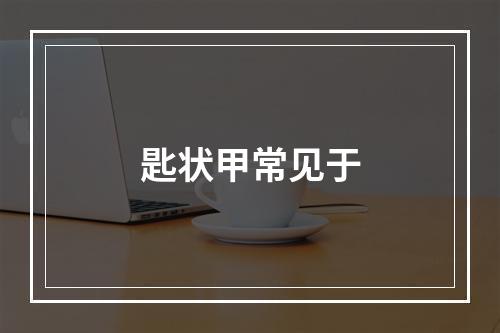 匙状甲常见于