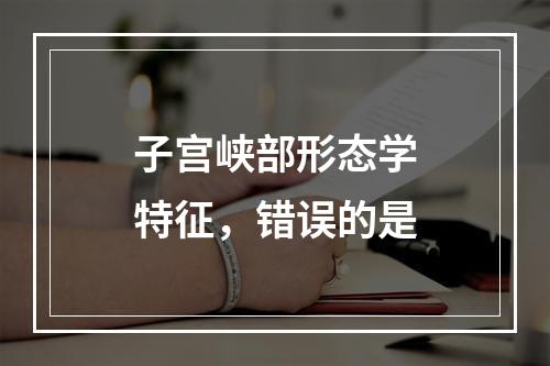 子宫峡部形态学特征，错误的是