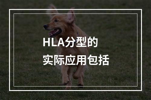 HLA分型的实际应用包括