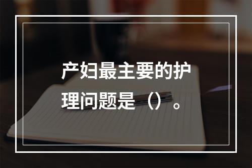 产妇最主要的护理问题是（）。