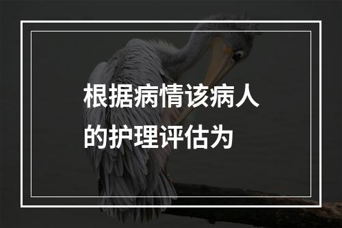 根据病情该病人的护理评估为