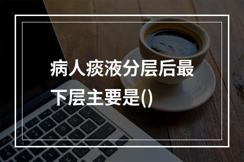 病人痰液分层后最下层主要是()