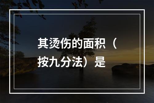 其烫伤的面积（按九分法）是