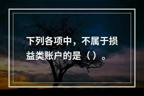 下列各项中，不属于损益类账户的是（ ）。