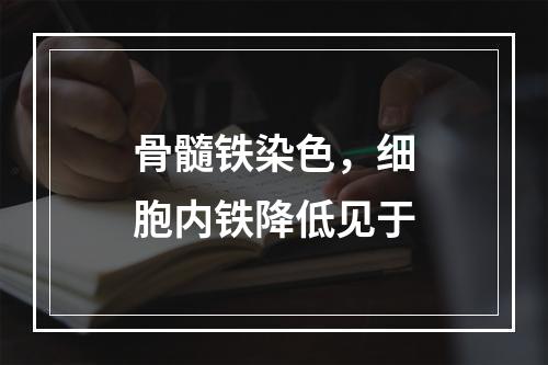 骨髓铁染色，细胞内铁降低见于