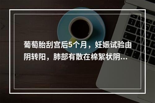 葡萄胎刮宫后5个月，妊娠试验由阴转阳，肺部有散在棉絮状阴影。