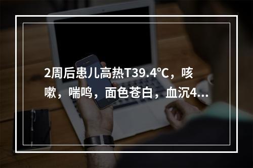 2周后患儿高热T39.4℃，咳嗽，喘鸣，面色苍白，血沉40m