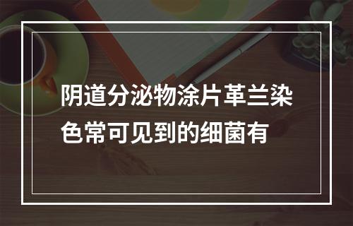 阴道分泌物涂片革兰染色常可见到的细菌有