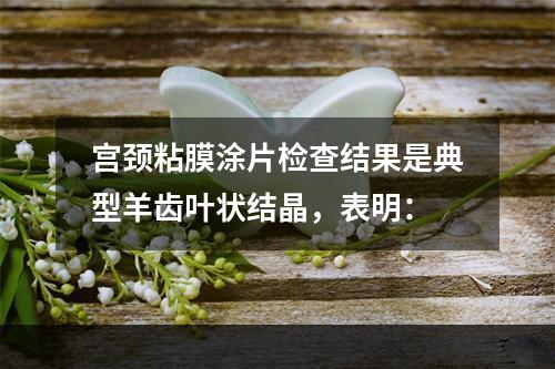 宫颈粘膜涂片检查结果是典型羊齿叶状结晶，表明：