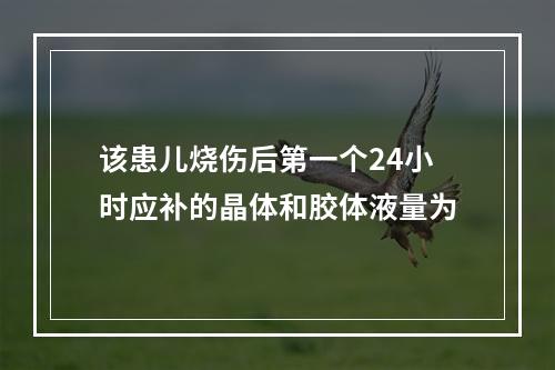 该患儿烧伤后第一个24小时应补的晶体和胶体液量为