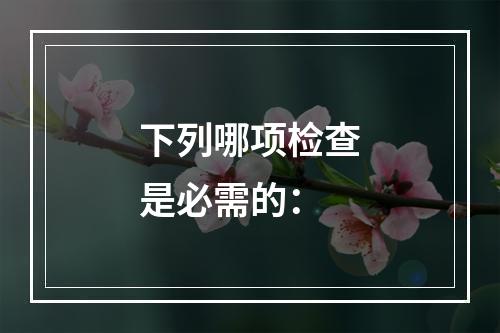 下列哪项检查是必需的：