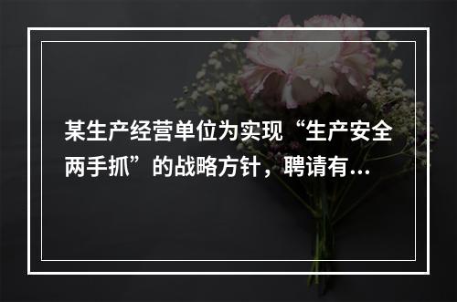 某生产经营单位为实现“生产安全两手抓”的战略方针，聘请有资质