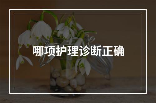 哪项护理诊断正确