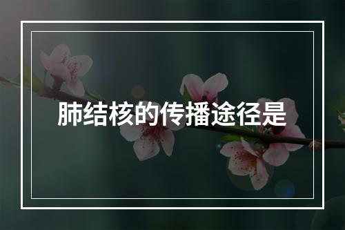 肺结核的传播途径是