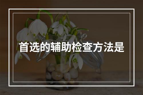 首选的辅助检查方法是