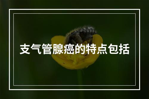 支气管腺癌的特点包括