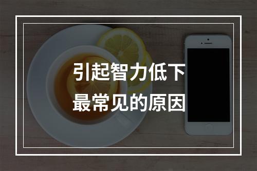 引起智力低下最常见的原因