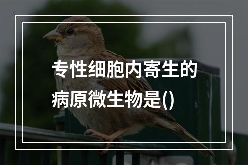 专性细胞内寄生的病原微生物是()