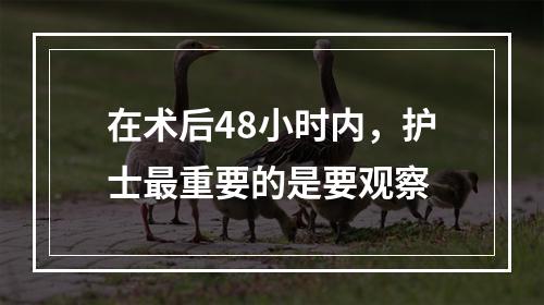 在术后48小时内，护士最重要的是要观察