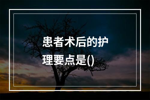 患者术后的护理要点是()