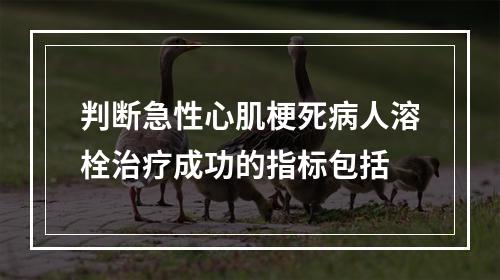 判断急性心肌梗死病人溶栓治疗成功的指标包括