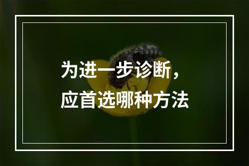 为进一步诊断，应首选哪种方法