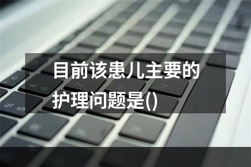 目前该患儿主要的护理问题是()