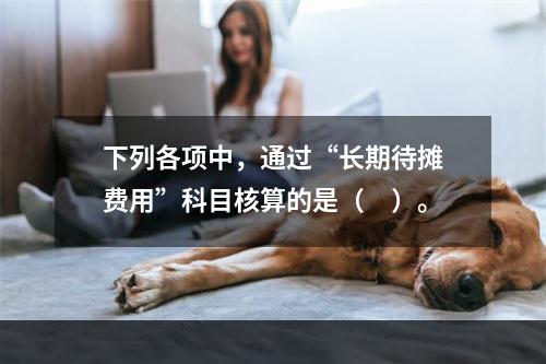 下列各项中，通过“长期待摊费用”科目核算的是（　）。