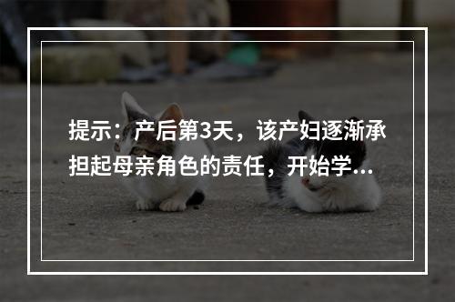 提示：产后第3天，该产妇逐渐承担起母亲角色的责任，开始学习护